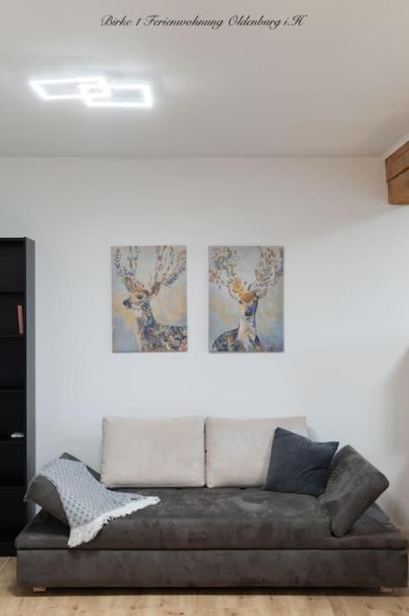 Birkenhof Oldenburg Apartment Oldenburg in Holstein