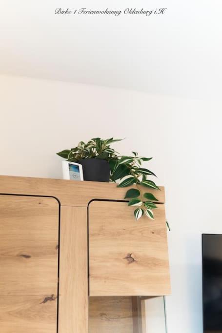 Apartment Birkenhof Oldenburg *